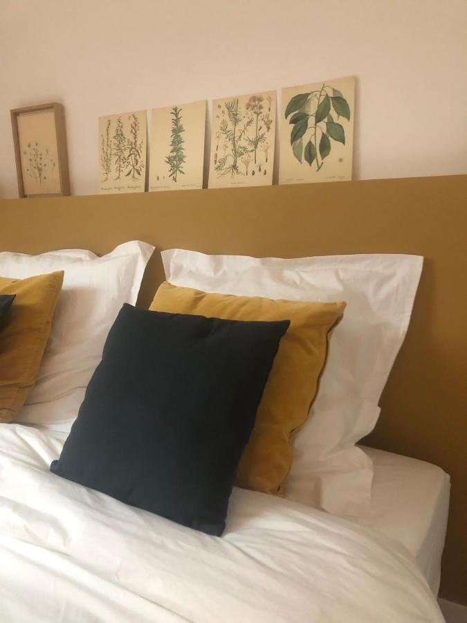 Maison Et Jardin A Epernay Centre Ville Εξωτερικό φωτογραφία